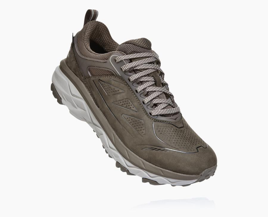 Hoka One One Challenger Low Gore-Tex - Women Trail Shoes - Brown,Australia KGW-902784